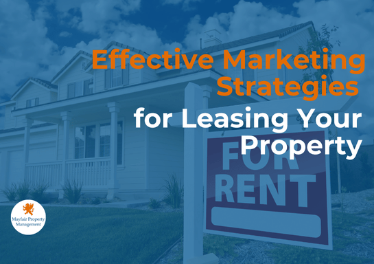 Effective Marketing Strategies for Leasing Your Property